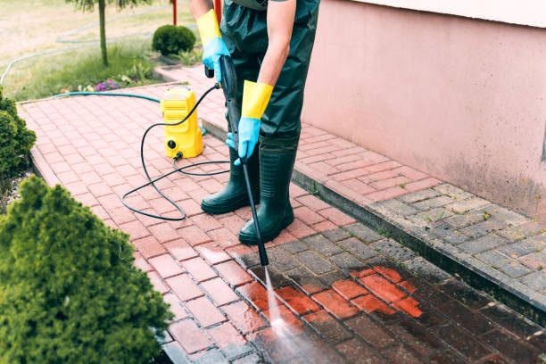 Trusted Albany, CA Pressure Washing Services Experts